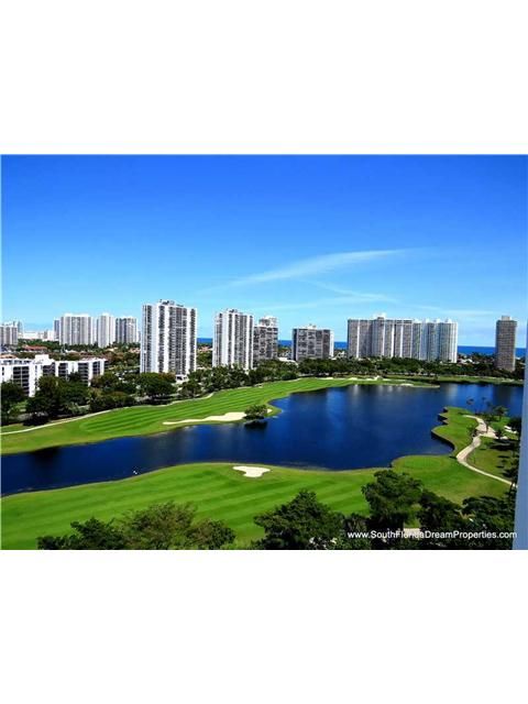 20355 NE 34 DELVISTA CT # 1229, Miami, FL 33180