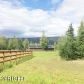 4880 N Bench View Drive, Wasilla, AK 99654 ID:9943445