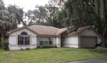 1733 Staysail Dr Valrico, FL 33594