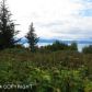 475 Paintbrush Court, Homer, AK 99603 ID:10139509