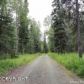 1253 E HOLOBINKO Road, Wasilla, AK 99654 ID:9804667