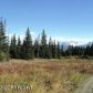 L3 Ranch Lane, Homer, AK 99603 ID:10141032