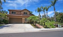 31 Surfbird Lane Aliso Viejo, CA 92656