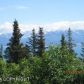 63592 Skyline Drive, Homer, AK 99603 ID:10141049