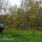 731 S Century Drive, Wasilla, AK 99654 ID:10462679