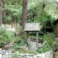 9352 Canyon Dr, Forest Falls, CA 92339 ID:10478029