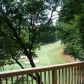 30 Chestnut Knoll Point, Jasper, GA 30143 ID:10028016