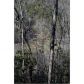 0 Stanley Creek Rd, Suches, GA 30572 ID:9946564