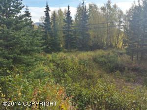 L1 Rabbit Creek Road, Anchorage, AK 99516