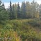 L1 Rabbit Creek Road, Anchorage, AK 99516 ID:10484129