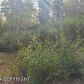 L1 Rabbit Creek Road, Anchorage, AK 99516 ID:10484130