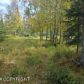 L1 Rabbit Creek Road, Anchorage, AK 99516 ID:10484131