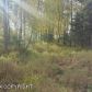 L1 Rabbit Creek Road, Anchorage, AK 99516 ID:10484132