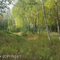 L1 Rabbit Creek Road, Anchorage, AK 99516 ID:10484133