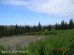 Tr. 3 West Highlands Boulevard, Homer, AK 99603