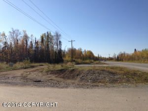 2207 S Ronnie Court, Big Lake, AK 99652