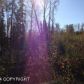 2207 S Ronnie Court, Big Lake, AK 99652 ID:10514457