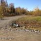 2207 S Ronnie Court, Big Lake, AK 99652 ID:10514460