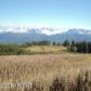 L1 Ranch Lane, Homer, AK 99603 ID:10139297