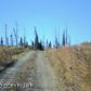 L1 Ranch Lane, Homer, AK 99603 ID:10139301