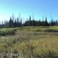 L1 Ranch Lane, Homer, AK 99603 ID:10139305