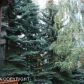 7340 Huntsmen Circle, Anchorage, AK 99518 ID:10553443