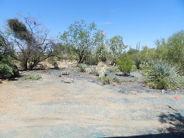 6505 N Hot Desert Trail, Tucson, AZ 85743