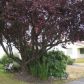 3593 Tacoma Avenue S, Tacoma, WA 98418 ID:10566214