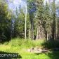 8611 Emil Drive, Wasilla, AK 99654 ID:9872934