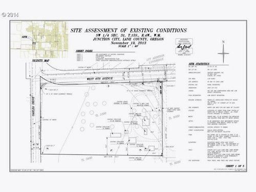 40 CHICK LN, Junction City, OR 97448