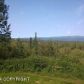 1100 N Iroquois Drive, Wasilla, AK 99654 ID:9804476