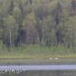 3500 N Schmidt Circle, Wasilla, AK 99654 ID:9514892