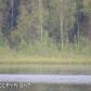 3500 N Schmidt Circle, Wasilla, AK 99654 ID:9514894