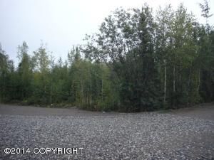 1134 S Horseshoe Lake Place, Big Lake, AK 99652