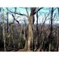 8242 Cox Mountain Drive, Jasper, GA 30143 ID:10026940