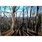 8242 Cox Mountain Drive, Jasper, GA 30143 ID:10026941