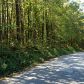 0 Long Road, Jasper, GA 30143 ID:10544483