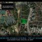 2636 Boddie Place, Duluth, GA 30097 ID:10156695