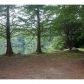 2831 Orchard Knob Se, Atlanta, GA 30339 ID:10552196