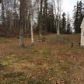 2960 N Garnet Lane, Wasilla, AK 99654 ID:10773922