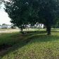 1472 Adkinson Rd, Newton, AL 36352 ID:10797333