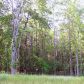 13 Shockley Springs Drive, Monroe, GA 30656 ID:10734430