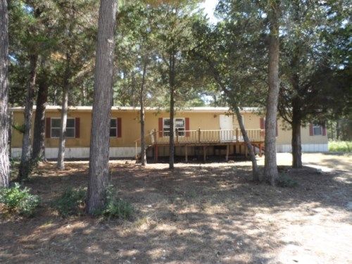 193 Squirrel Run, Paige, TX 78659