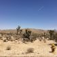 0 Yucca Mesa Road, Yucca Valley, CA 92284 ID:10849961