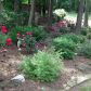 1731 Eldonlas Court, Stone Mountain, GA 30087 ID:10797294