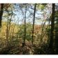 125 Evening Shade Loop, Mineral Bluff, GA 30559 ID:10812138