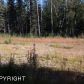 2900 N Mountain Crest Drive, Wasilla, AK 99654 ID:9610970