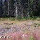 2900 N Mountain Crest Drive, Wasilla, AK 99654 ID:9610971