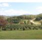 2226 Owltown Road, Blairsville, GA 30512 ID:10869797