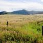 TBD 342 Road, Silt, CO 81652 ID:10945380